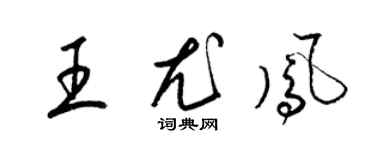 梁锦英王尤凤草书个性签名怎么写