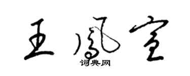 梁锦英王凤宣草书个性签名怎么写