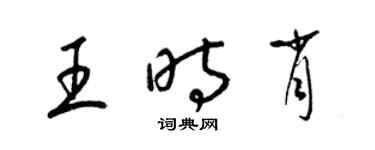 梁锦英王时肖草书个性签名怎么写