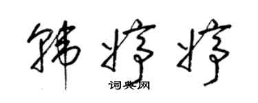 梁锦英韩婷婷草书个性签名怎么写