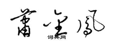梁锦英萧金凤草书个性签名怎么写