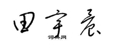 梁锦英田宇晨草书个性签名怎么写