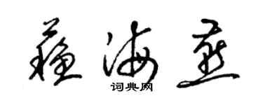 梁锦英苏海燕草书个性签名怎么写
