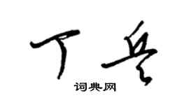 梁锦英丁兵草书个性签名怎么写