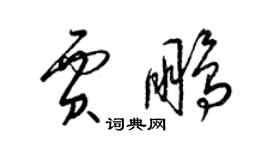 梁锦英贾鹏草书个性签名怎么写