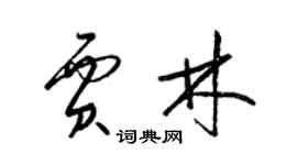 梁锦英贾林草书个性签名怎么写