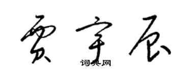 梁锦英贾宇辰草书个性签名怎么写