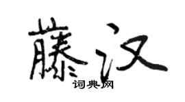 曾庆福藤汉行书个性签名怎么写