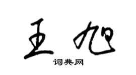 梁锦英王旭草书个性签名怎么写