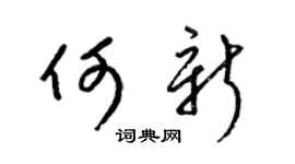 梁锦英何新草书个性签名怎么写