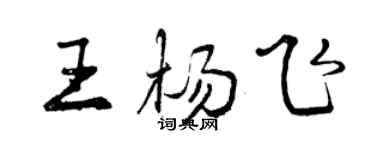 曾庆福王杨飞行书个性签名怎么写
