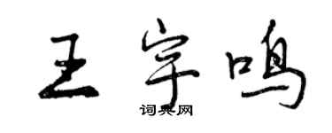 曾庆福王宇鸣行书个性签名怎么写