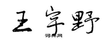 曾庆福王宇野行书个性签名怎么写