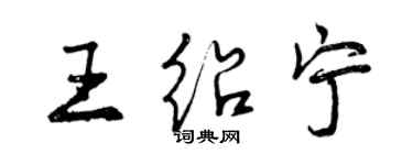 曾庆福王绍宁行书个性签名怎么写