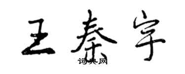 曾庆福王秦宇行书个性签名怎么写