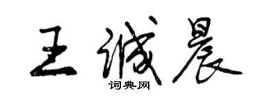 曾庆福王诚晨行书个性签名怎么写