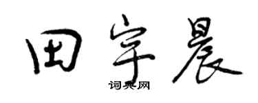 曾庆福田宇晨行书个性签名怎么写