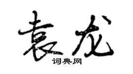 曾庆福袁龙行书个性签名怎么写