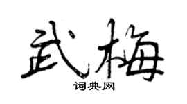 曾庆福武梅行书个性签名怎么写