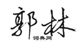 骆恒光郭林行书个性签名怎么写