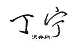 骆恒光丁宁行书个性签名怎么写
