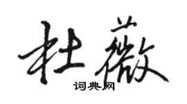 骆恒光杜薇行书个性签名怎么写