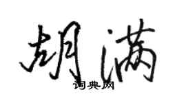 骆恒光胡满行书个性签名怎么写