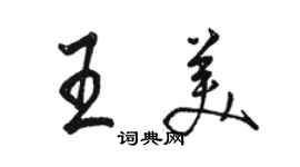 骆恒光王美行书个性签名怎么写