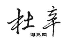 骆恒光杜辛行书个性签名怎么写
