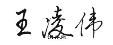 骆恒光王凌伟行书个性签名怎么写
