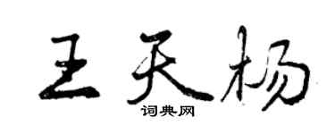 曾庆福王天杨行书个性签名怎么写