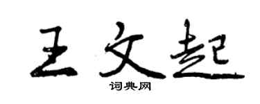 曾庆福王文起行书个性签名怎么写