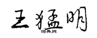 曾庆福王猛明行书个性签名怎么写
