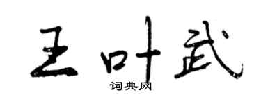 曾庆福王叶武行书个性签名怎么写