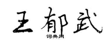 曾庆福王郁武行书个性签名怎么写