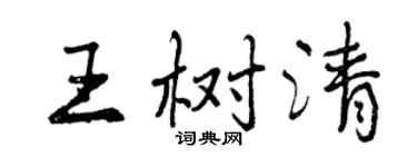 曾庆福王树清行书个性签名怎么写