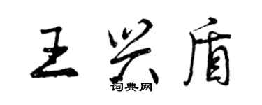 曾庆福王兴盾行书个性签名怎么写
