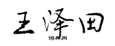 曾庆福王泽田行书个性签名怎么写