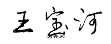曾庆福王宝河行书个性签名怎么写