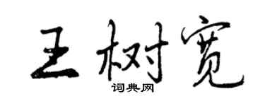 曾庆福王树宽行书个性签名怎么写
