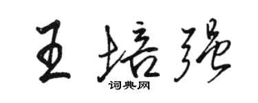 骆恒光王培强行书个性签名怎么写