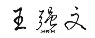 骆恒光王强文行书个性签名怎么写