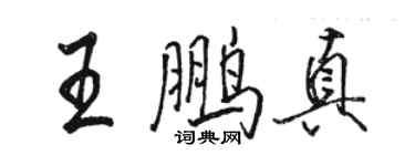 骆恒光王鹏真行书个性签名怎么写