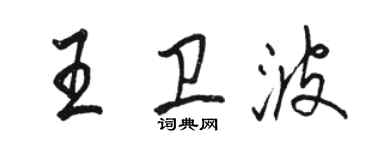 骆恒光王卫波行书个性签名怎么写