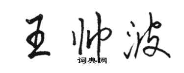 骆恒光王帅波行书个性签名怎么写