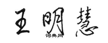 骆恒光王明慧行书个性签名怎么写