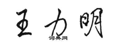 骆恒光王力明行书个性签名怎么写