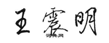 骆恒光王震明行书个性签名怎么写