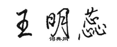 骆恒光王明蕊行书个性签名怎么写