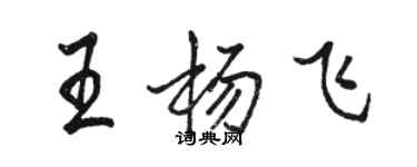 骆恒光王杨飞行书个性签名怎么写